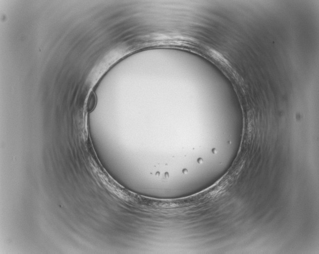 X0000054471370200508191717