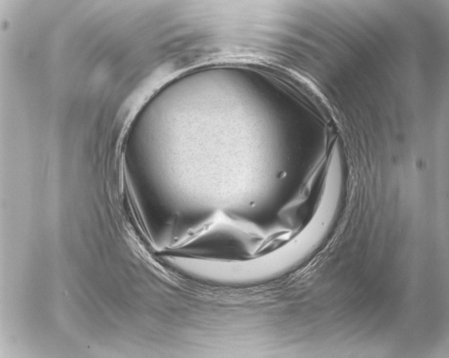 X0000054471371200508191717