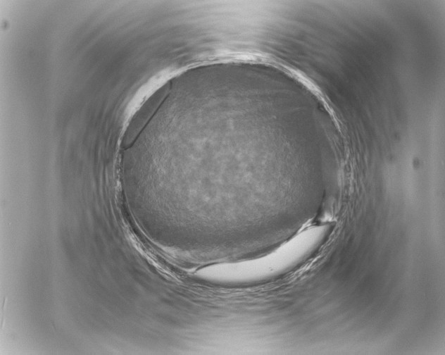 X0000054471373200508191717