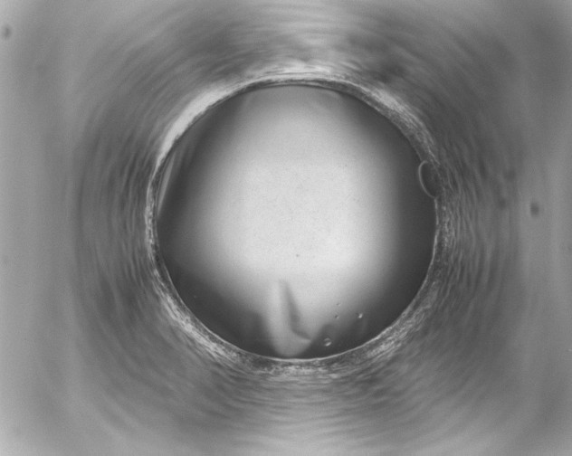 X0000054471374200508191717