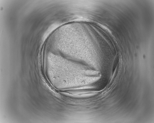 X0000054471375200508191717