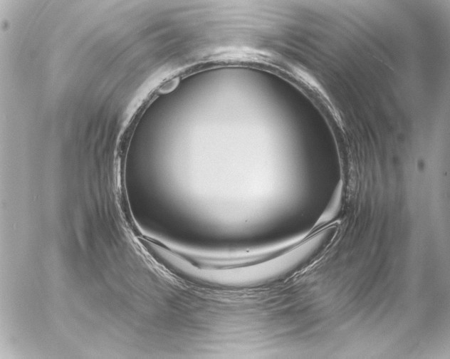 X0000054471376200508191717