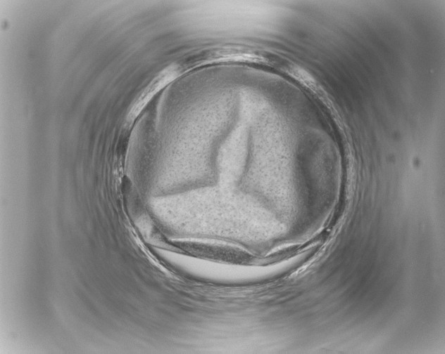 X0000054471377200508191717