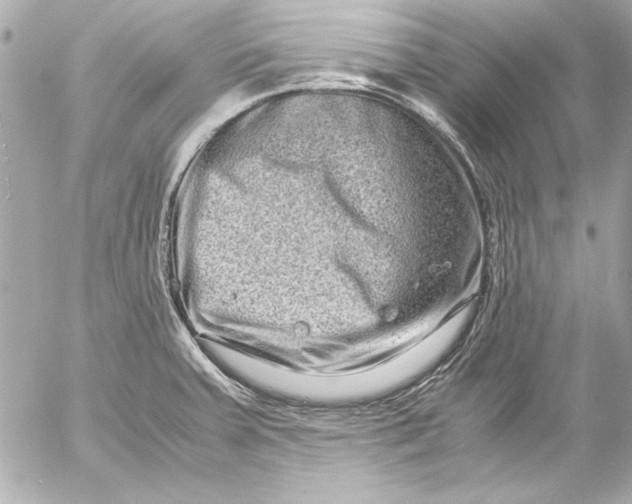 X0000054471379200508191717