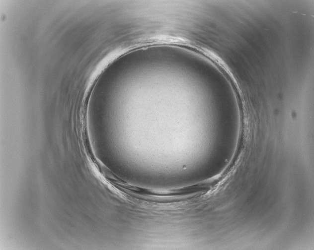 X0000054471381200508191717