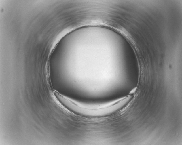 X0000054471382200508191717