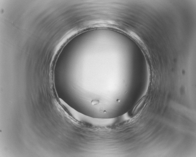 X0000054471384200508191717