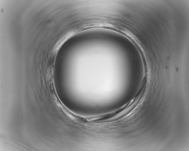 X0000054471385200508191717