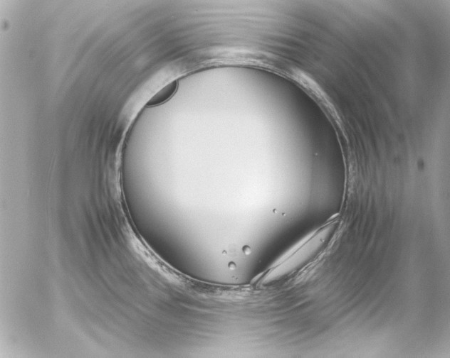 X0000054471386200508191717