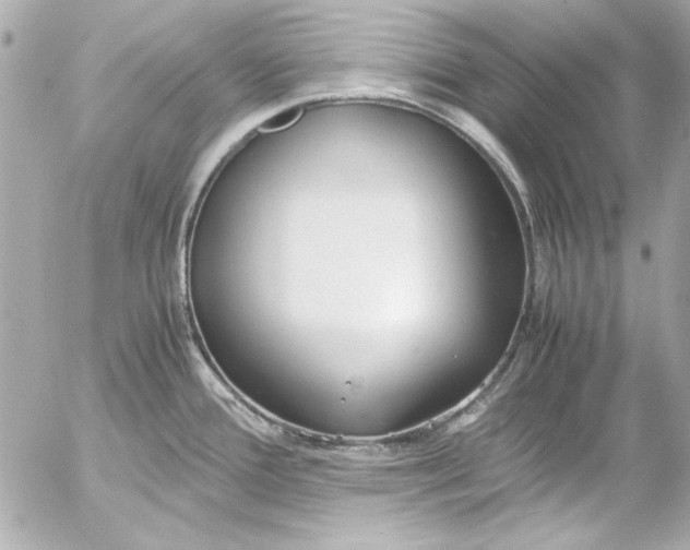 X0000054471388200508191717