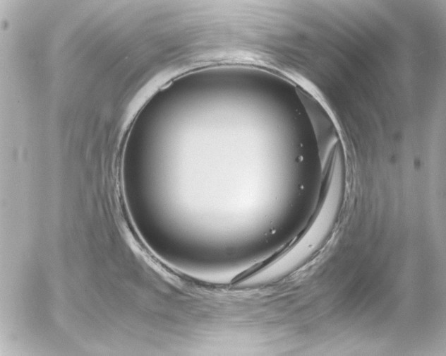 X0000054471389200508191717