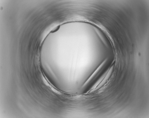 X0000054471390200508191717