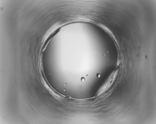 X0000054471391200508191716