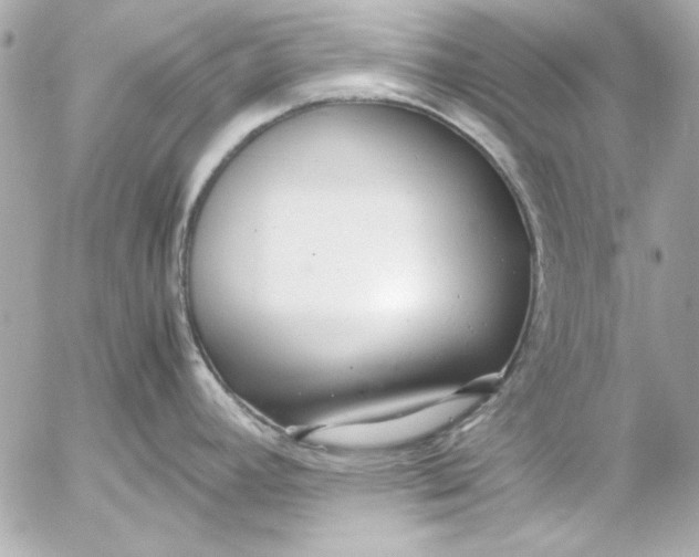 X0000054471392200508191716