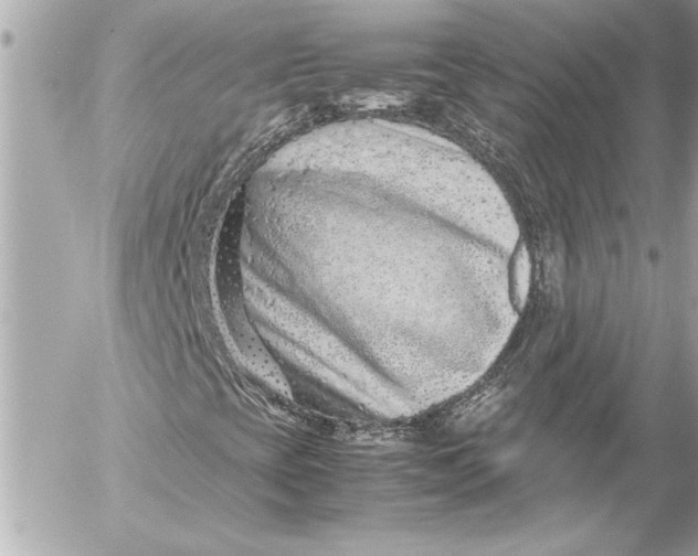 X0000054471393200508191716