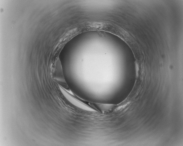 X0000054471394200508191716