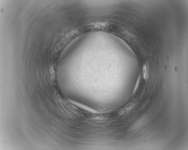 X0000054471395200508191716