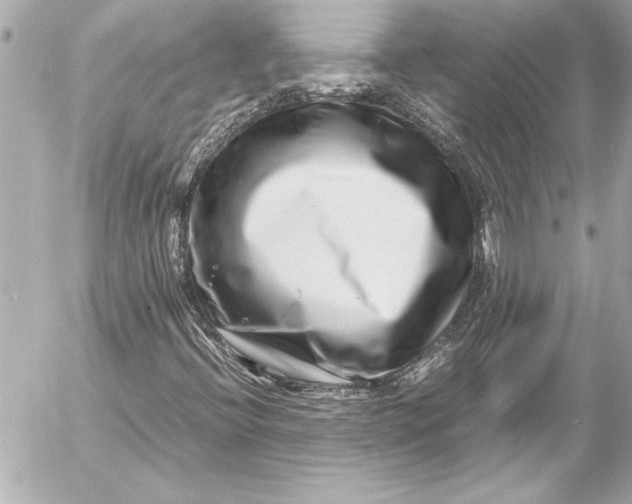 X0000054471396200508191716