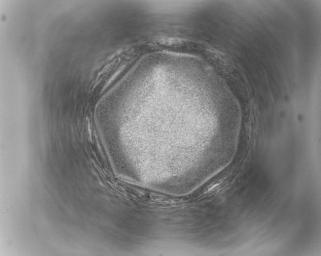 X0000054471397200508191716