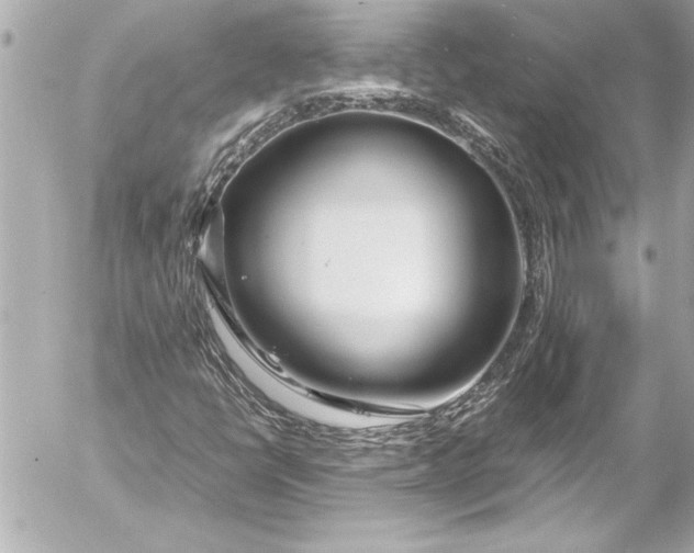 X0000054471398200508191716