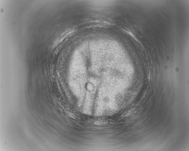 X0000054471399200508191716