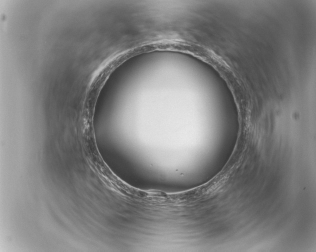 X0000054471400200508191716