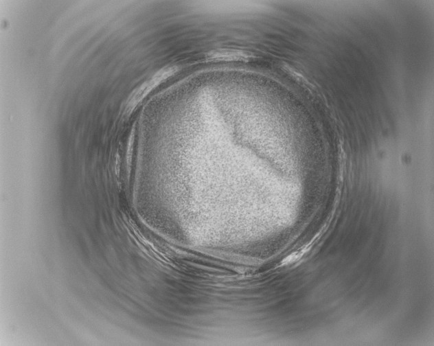 X0000054471401200508191716