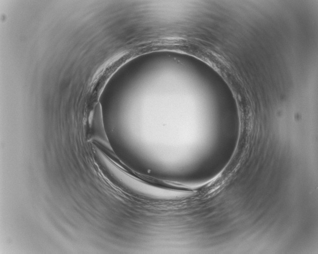 X0000054471402200508191716