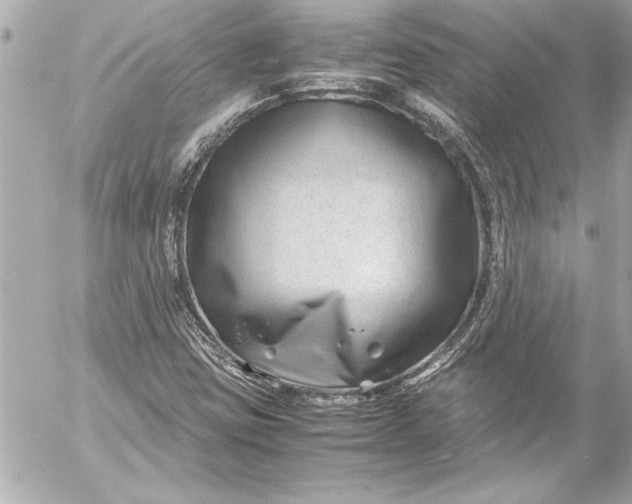 X0000054471403200508191716