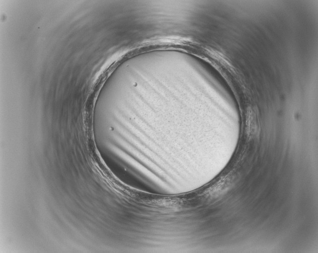 X0000054471404200508191716