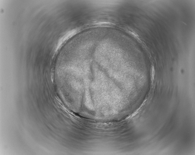 X0000054471405200508191716