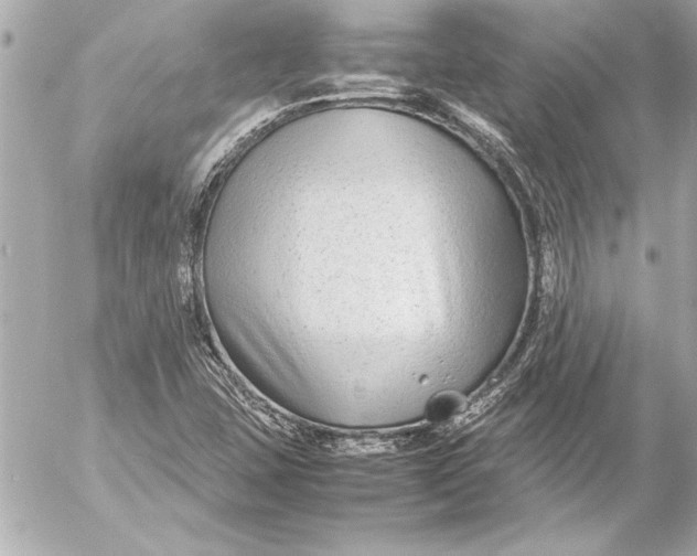 X0000054471407200508191716