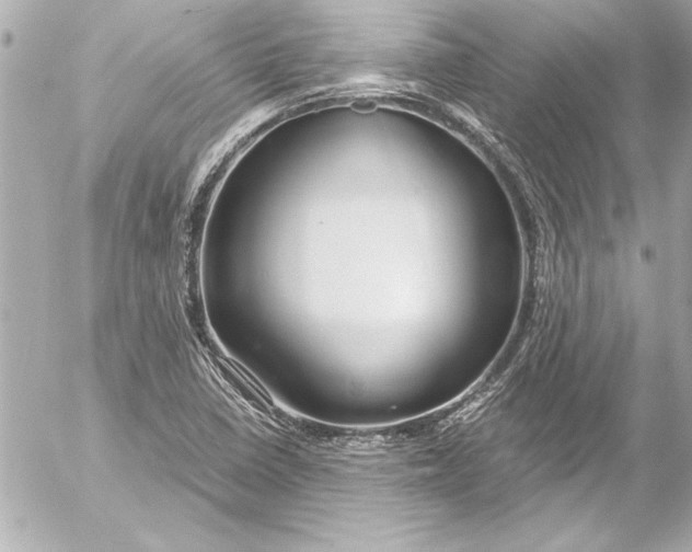 X0000054471410200508191716