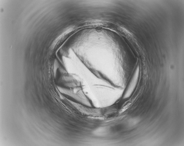 X0000054471411200508191716