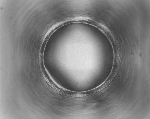 X0000054471412200508191716