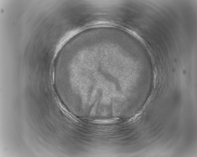 X0000054471413200508191716