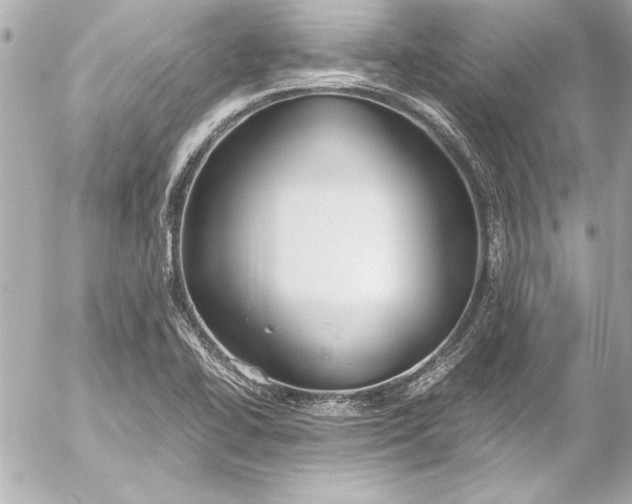 X0000054471414200508191716