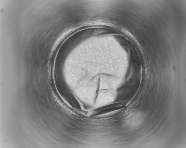 X0000054471416200508191716