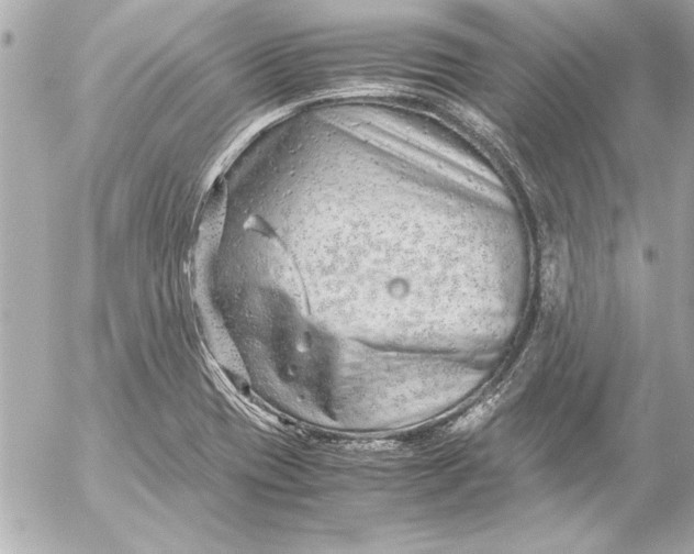 X0000054471417200508191716