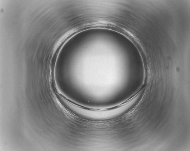 X0000054471418200508191716