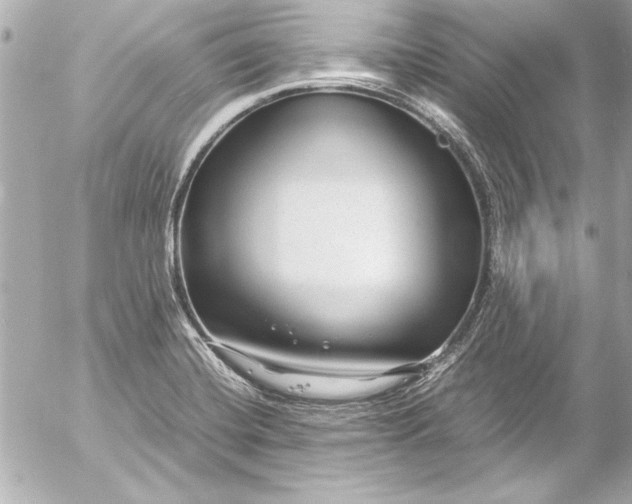 X0000054471420200508191716