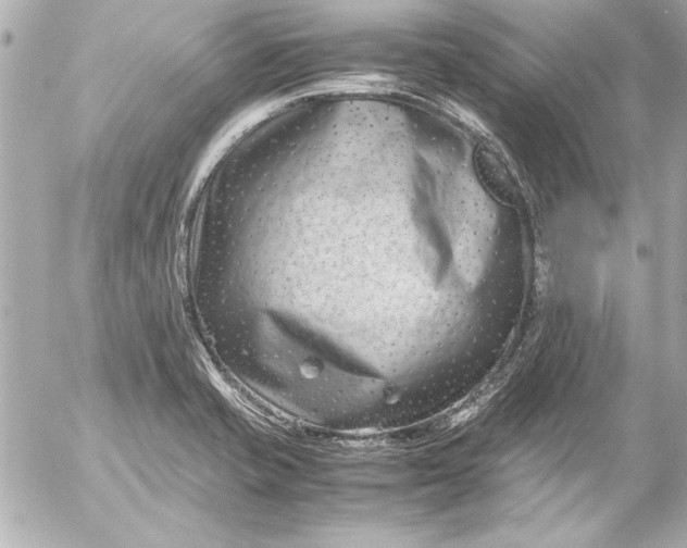 X0000054471421200508191716