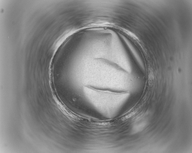 X0000054471423200508191716