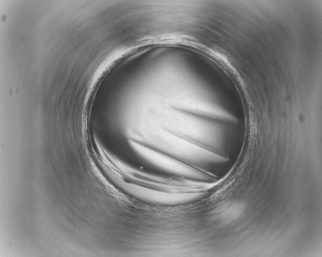 X0000054471424200508191716