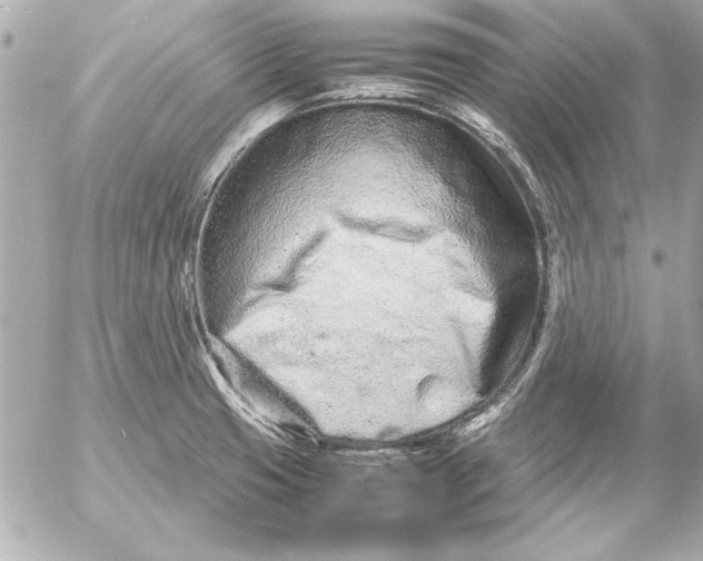 X0000054471425200508191716