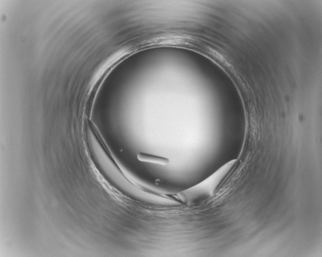 X0000054471426200508191716