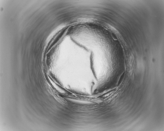 X0000054471427200508191716