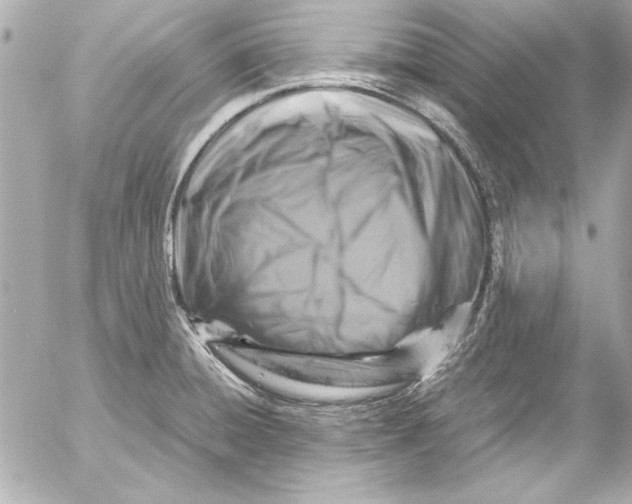 X0000054471428200508191716