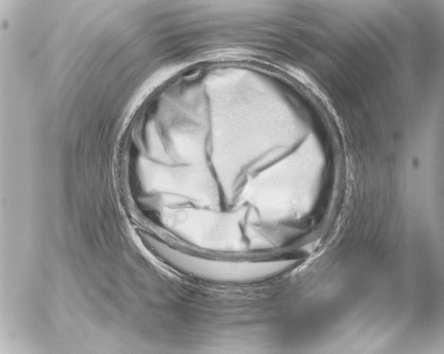 X0000054471429200508191716