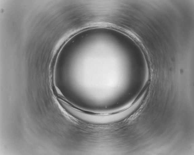 X0000054471430200508191716